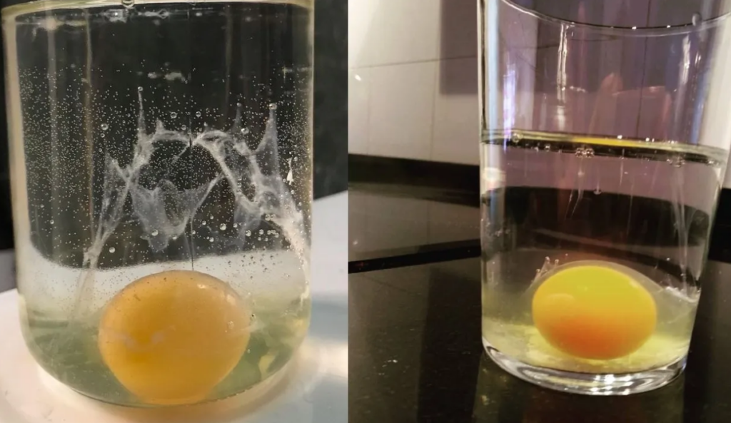 La limpieza con huevo
